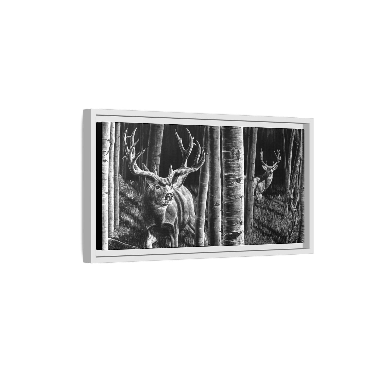 "Out of the Shadows" Framed Canvas