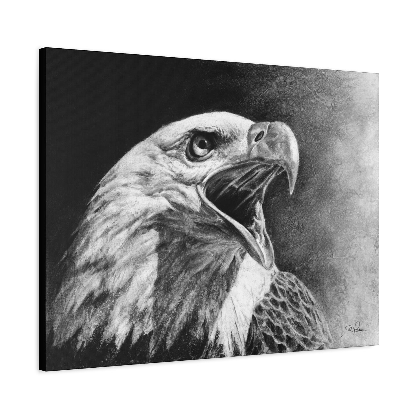 "Bald Eagle" Stretched Canvas