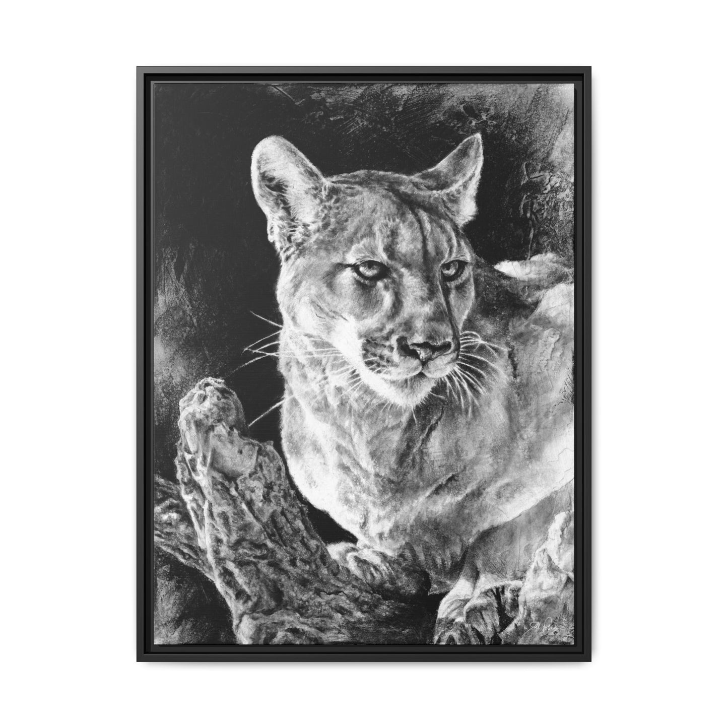 "Mountain Lion" Framed Canvas