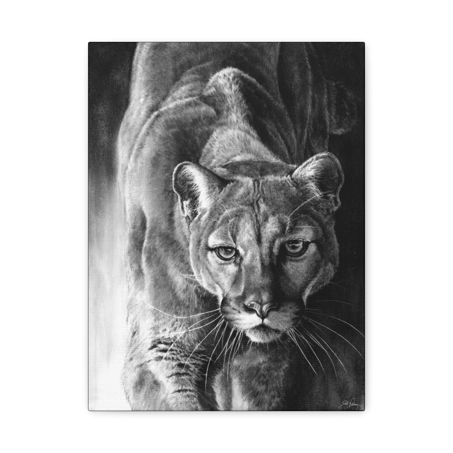 "Watcher in the Woods" Stretched Canvas