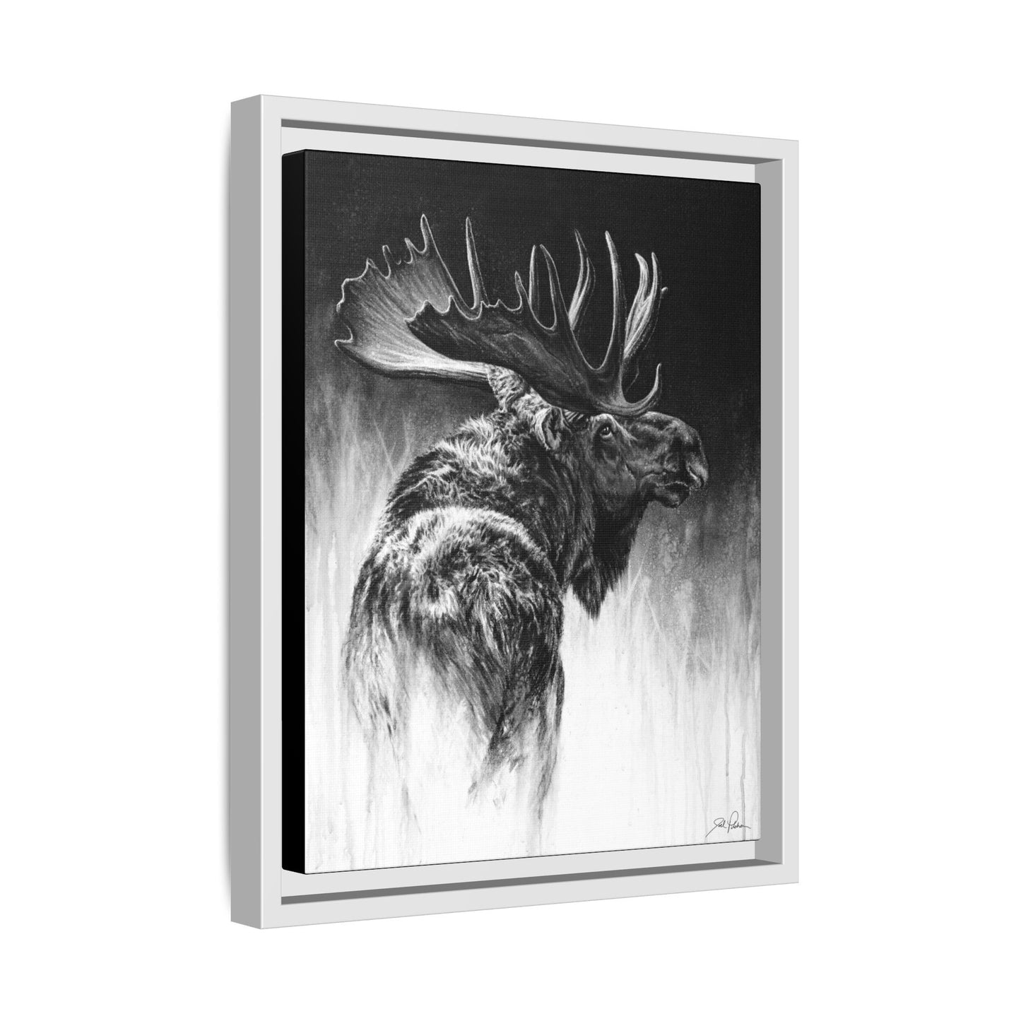 "Bull Moose" Framed Canvas