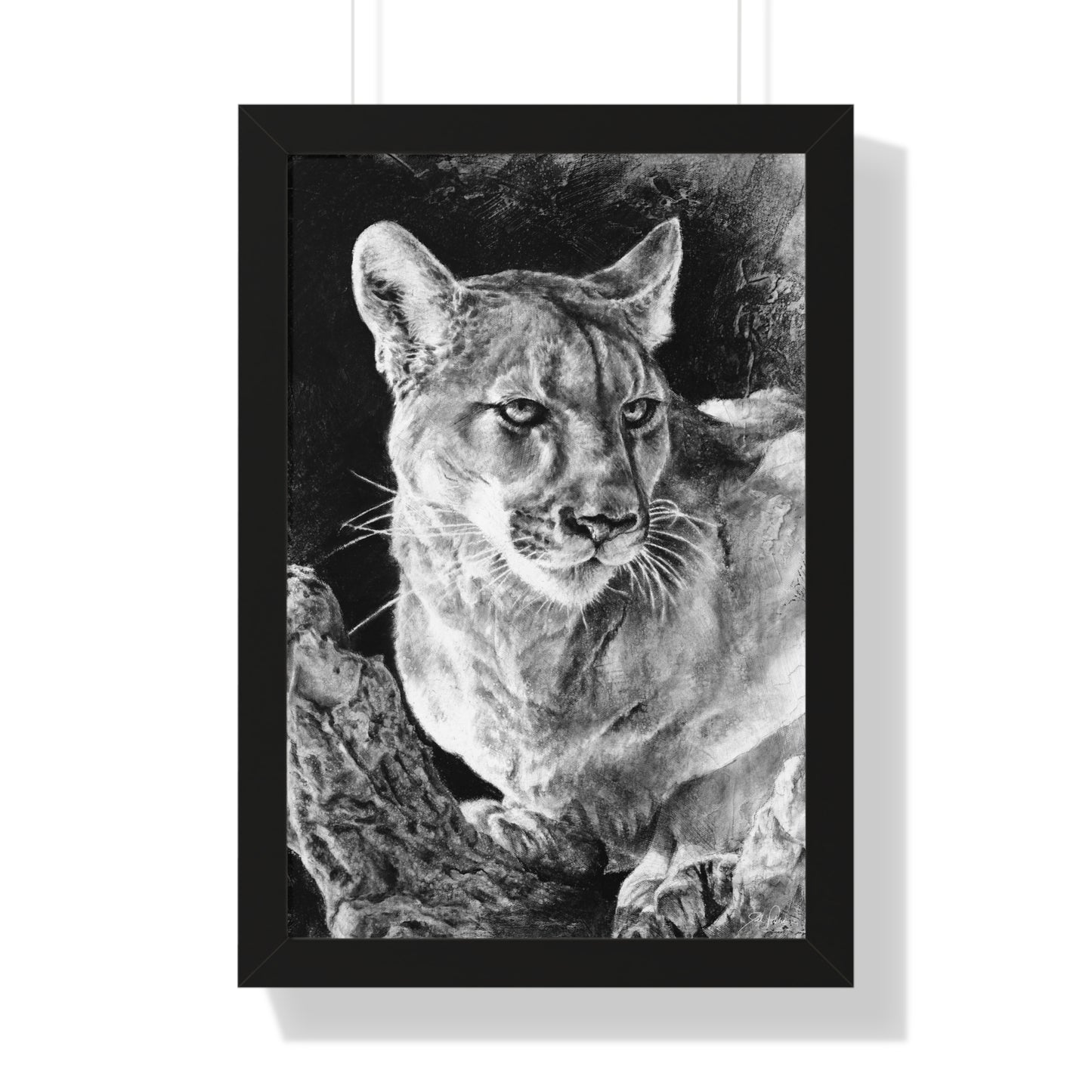 "Mountain Lion" Framed Paper Print