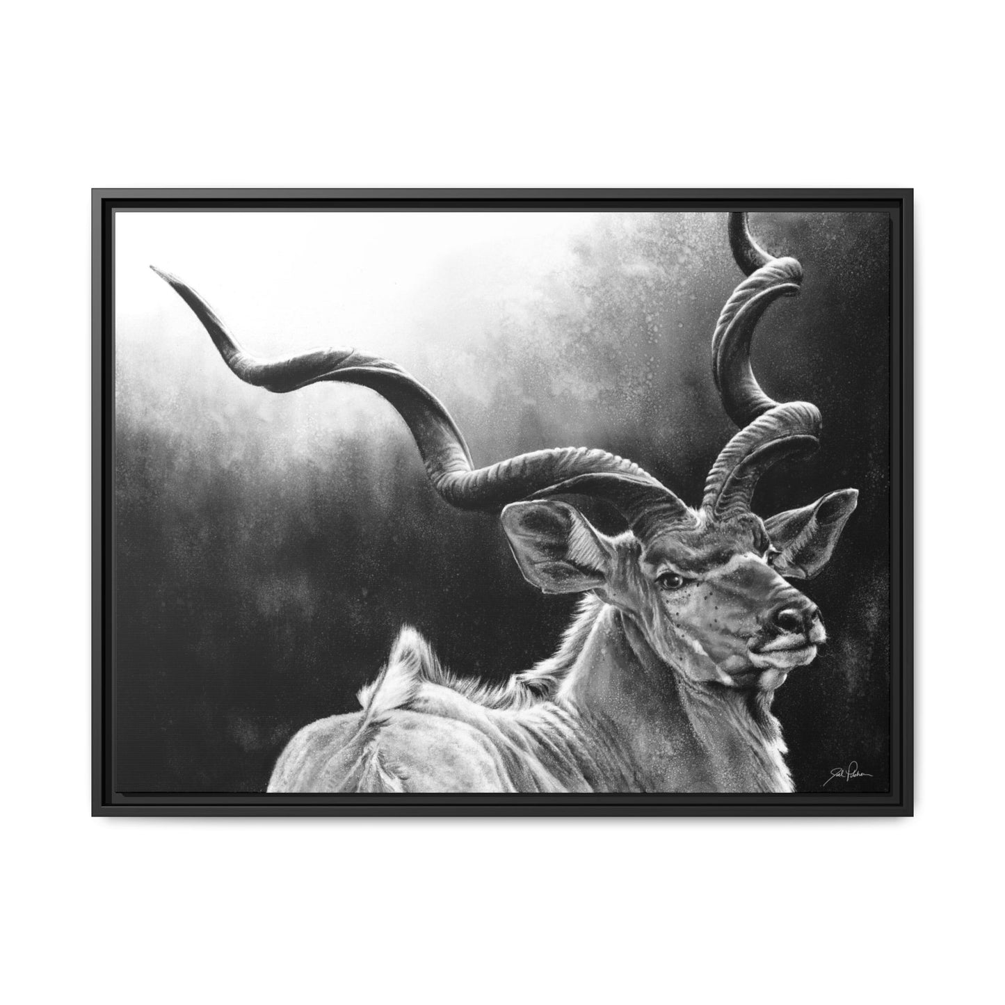 "Kudu" Framed Canvas