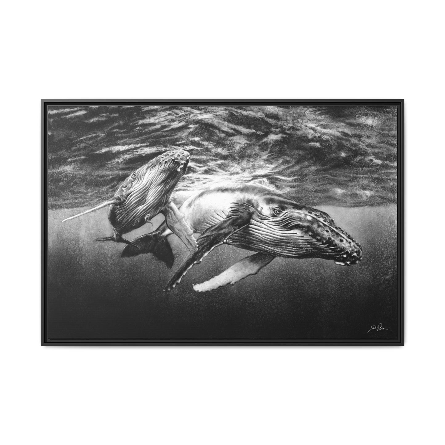 "Humpback Whales" Framed Canvas