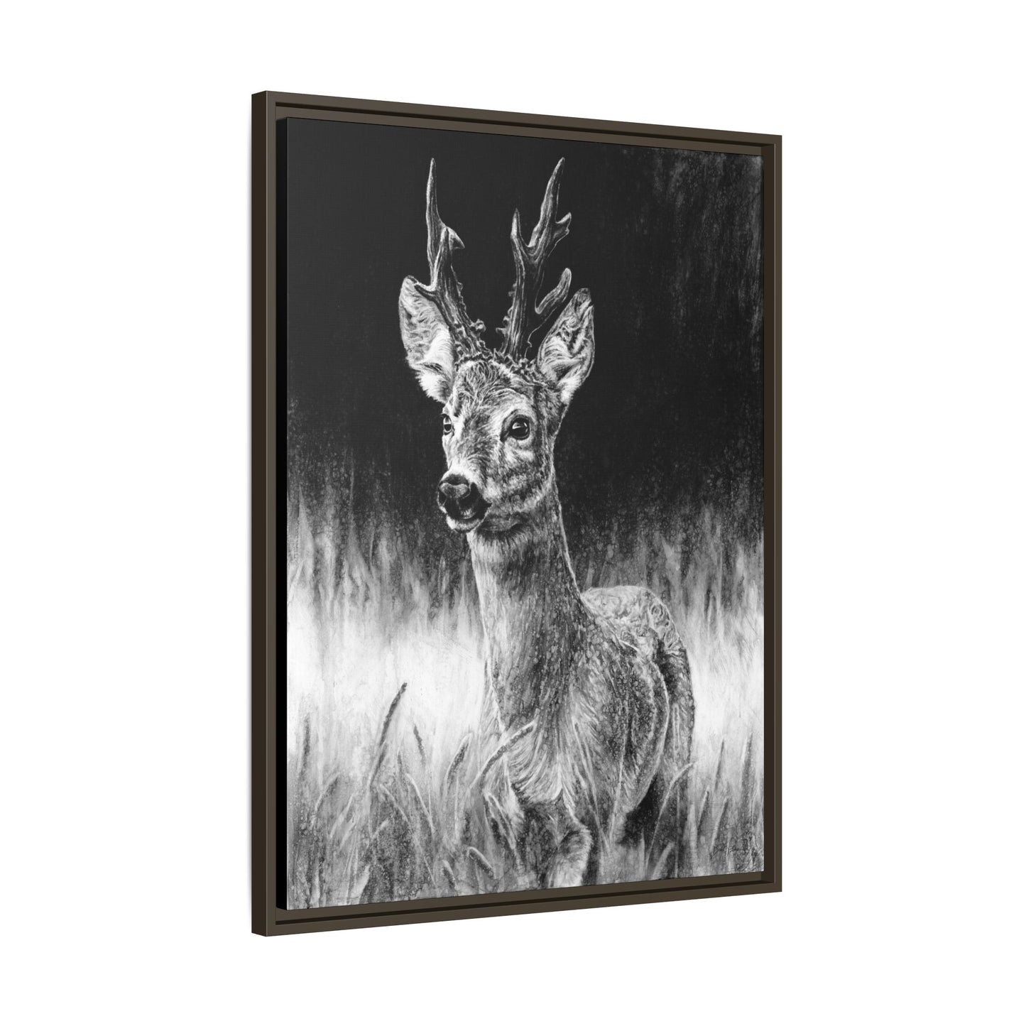 "Roe Deer" Framed Canvas