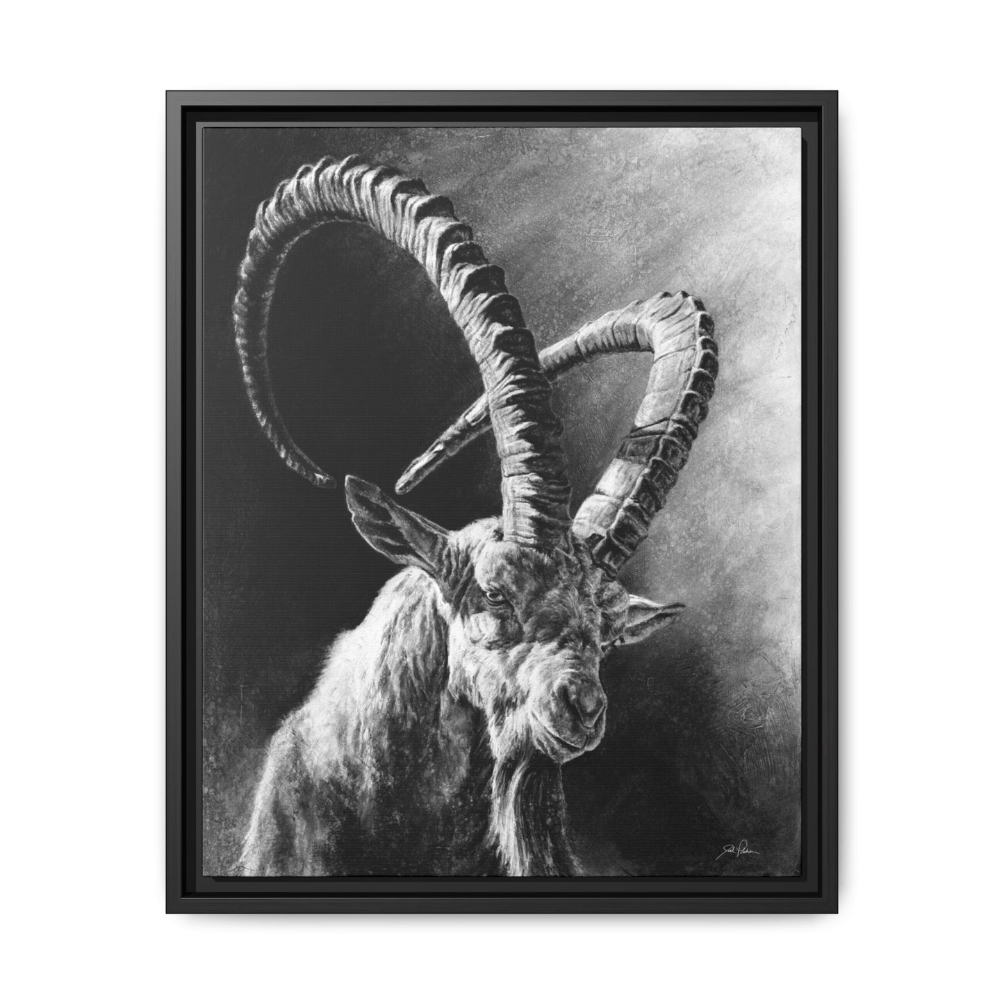 "Ibex" Framed Canvas