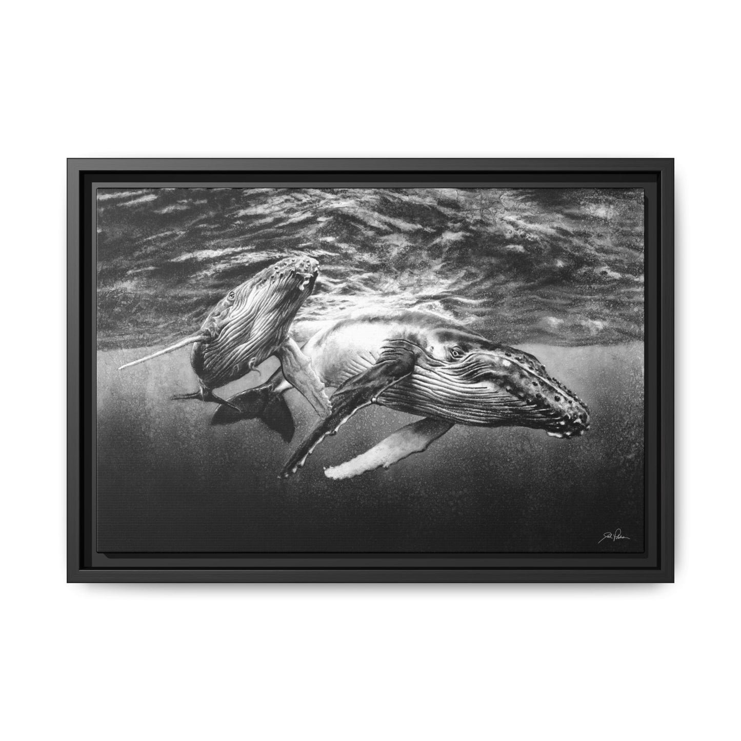 "Humpback Whales" Framed Canvas