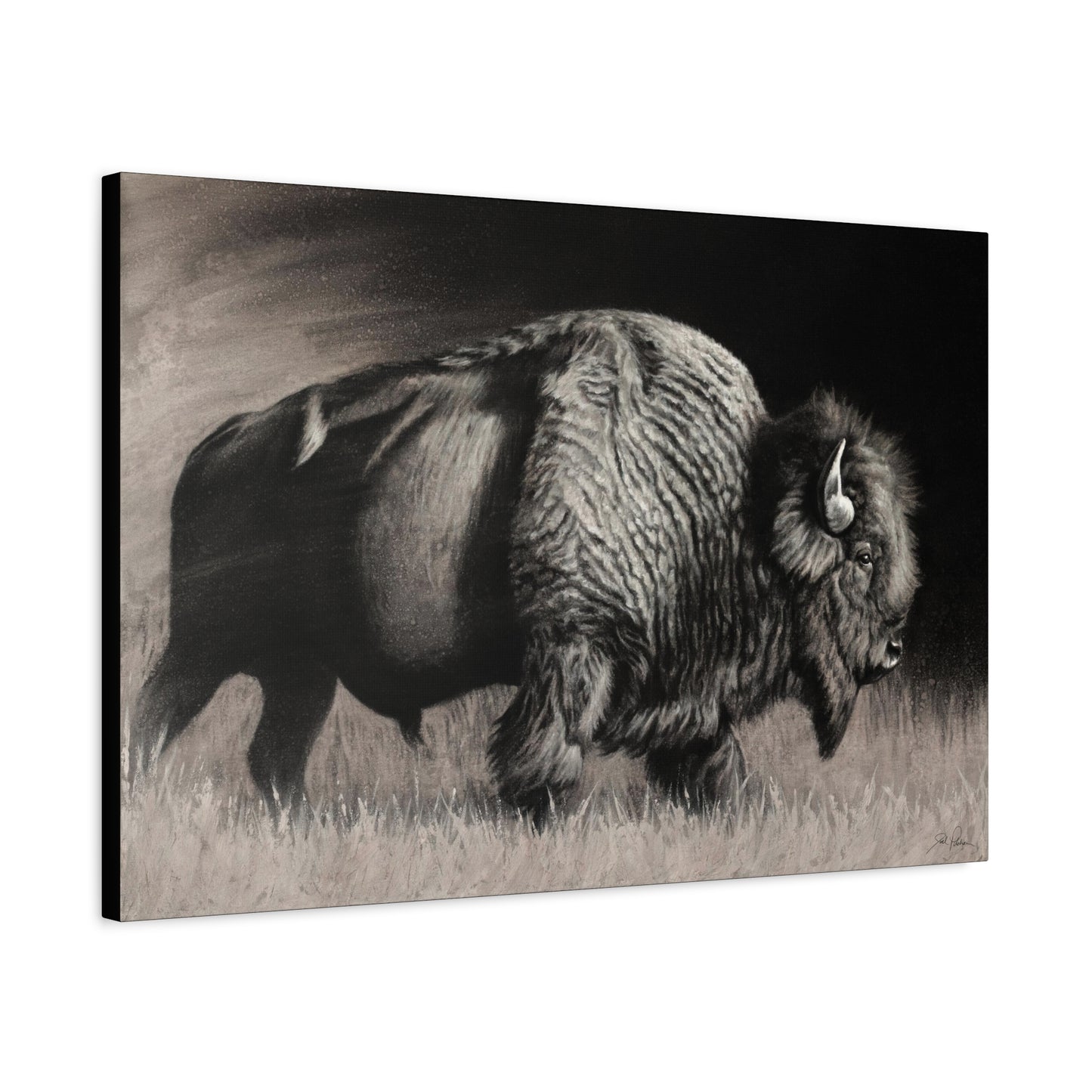 "Into the Storm" Stretched Canvas