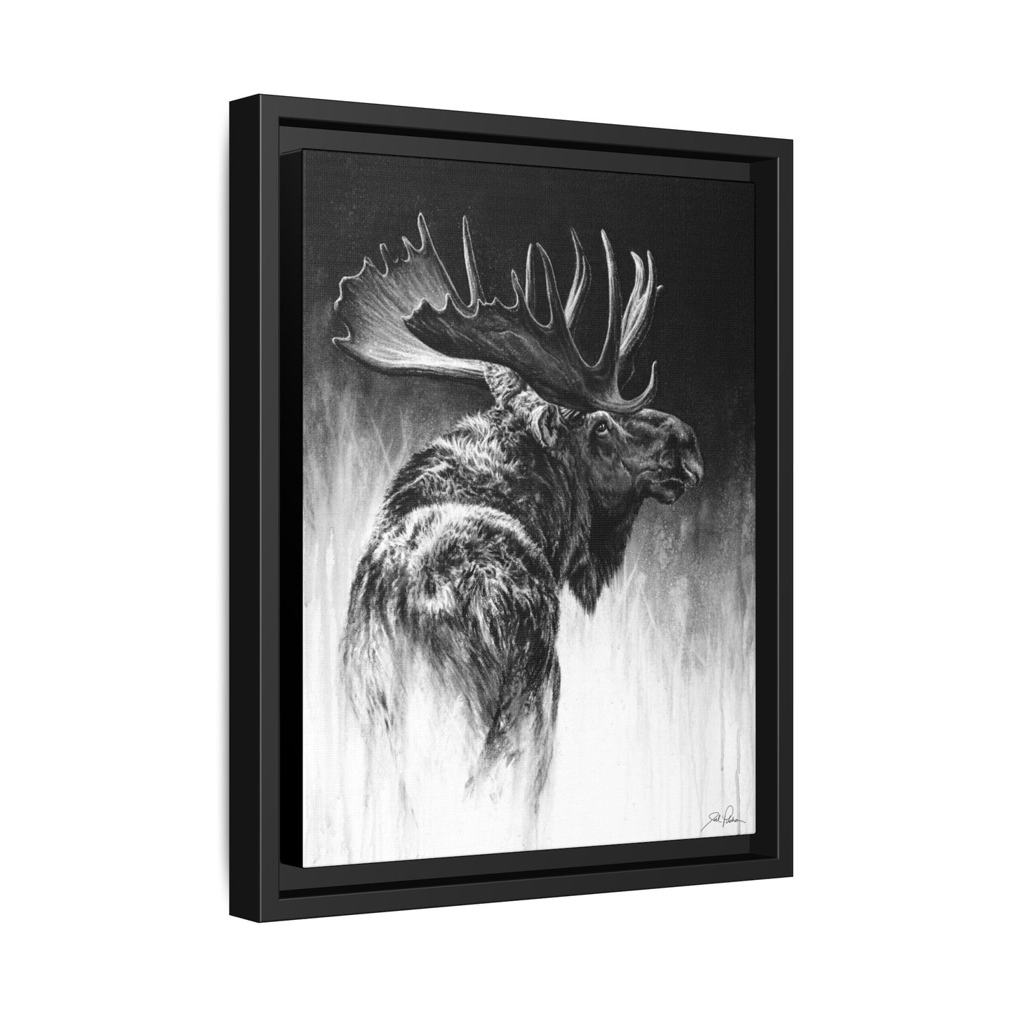 "Bull Moose" Framed Canvas