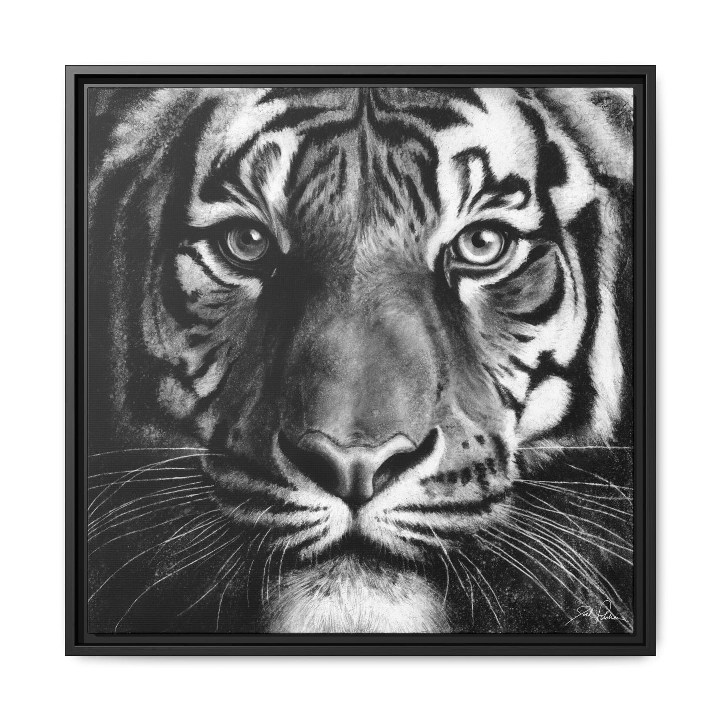 "Tiger" Framed Canvas