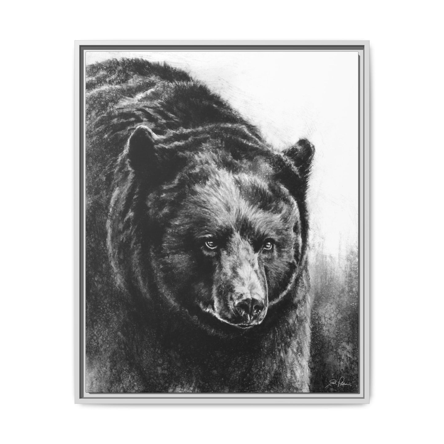"Black Bear" Framed Canvas