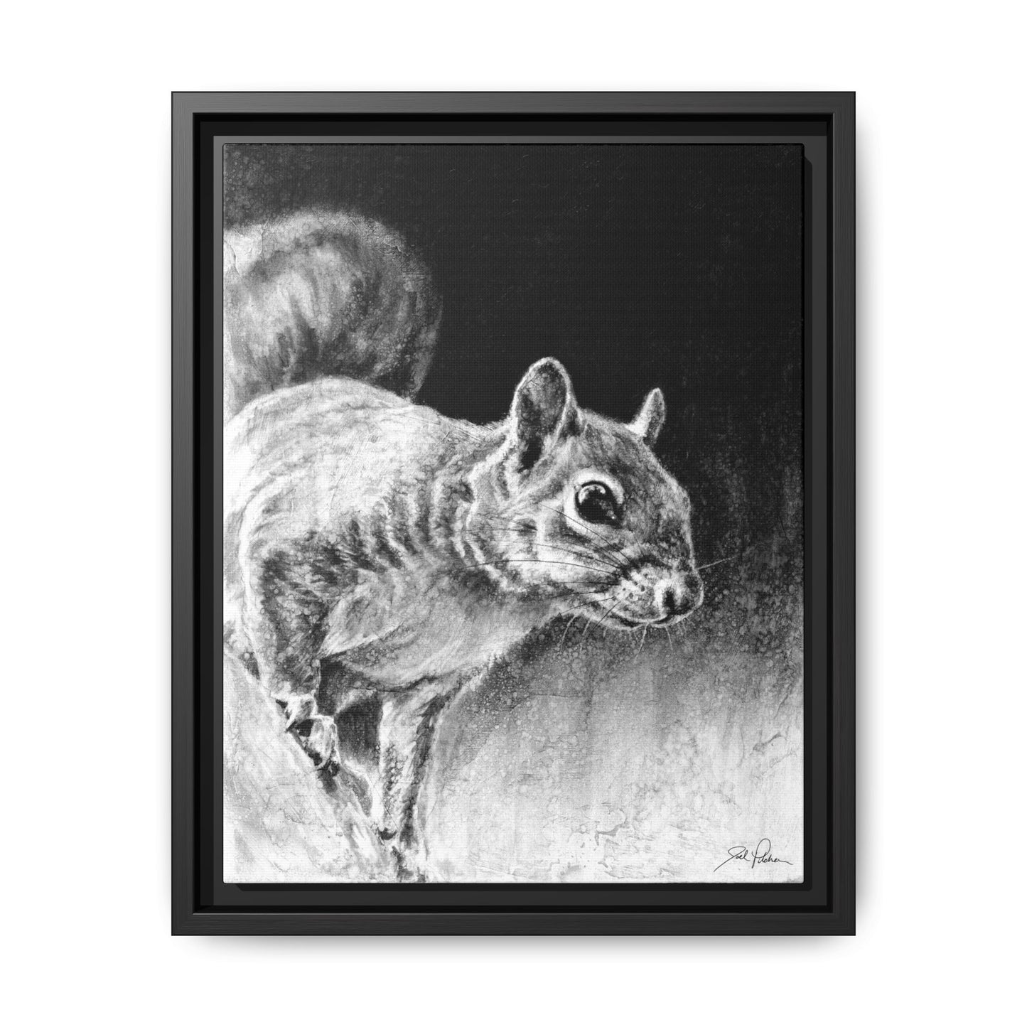 "Squirrel" Framed Canvas