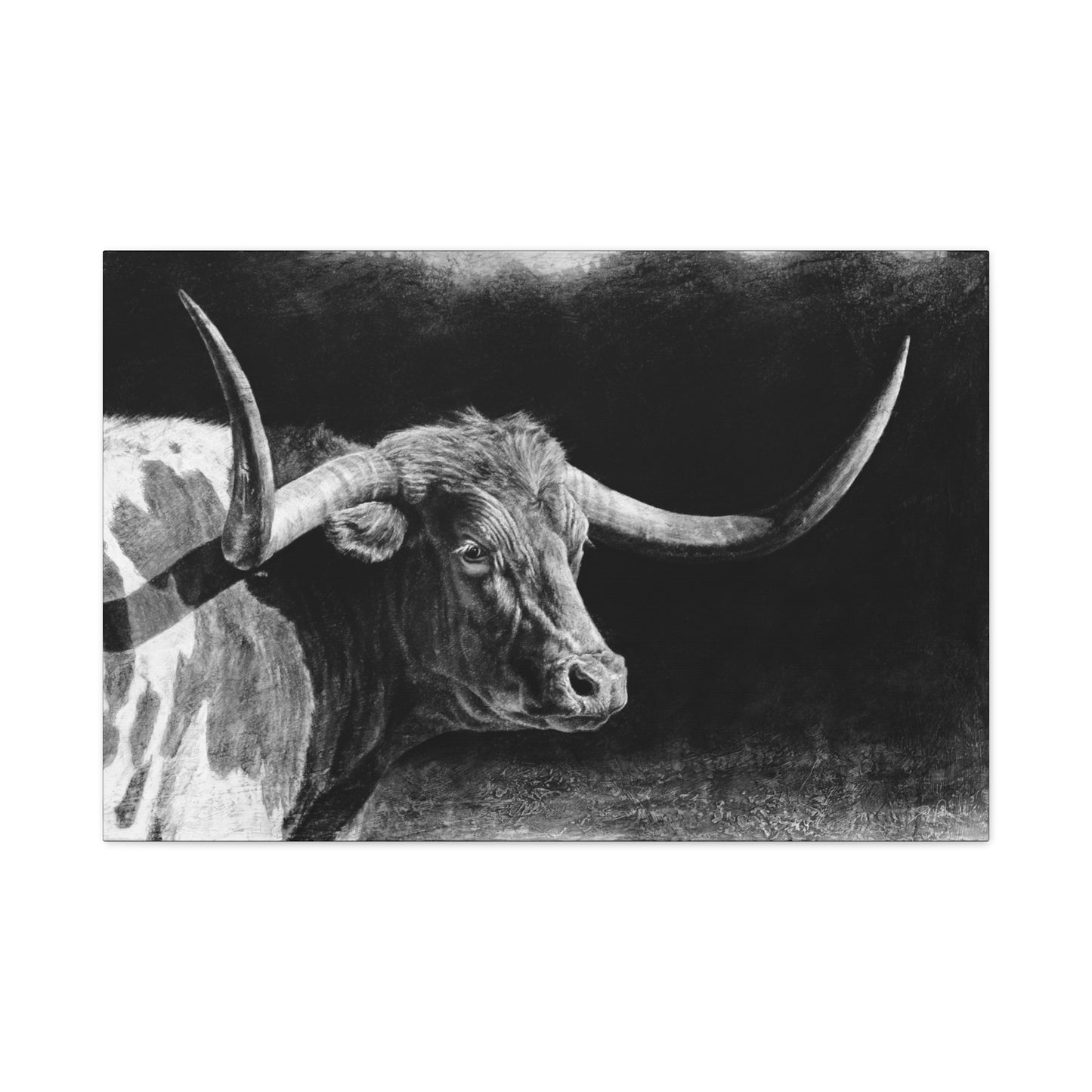 "Longhorn II" Stretched Canvas