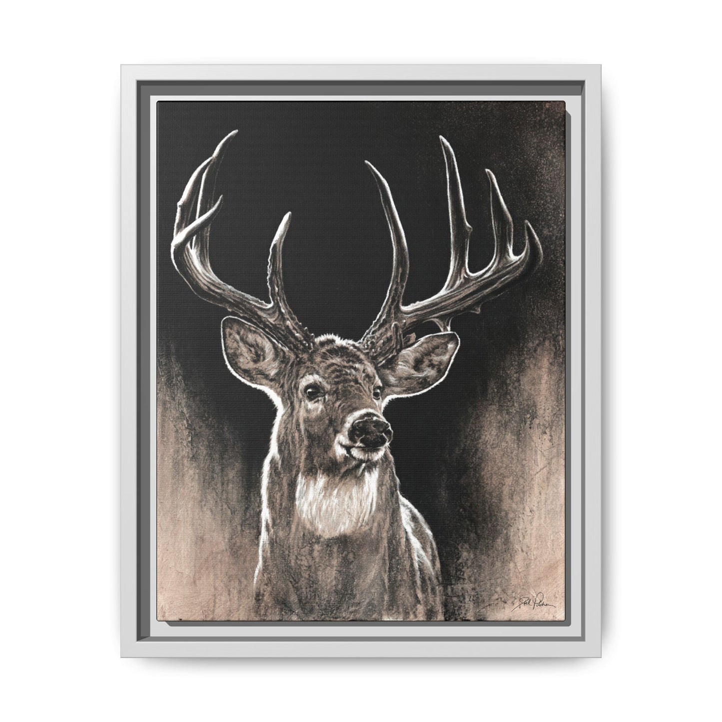 "Backlit Buck" Framed Canvas
