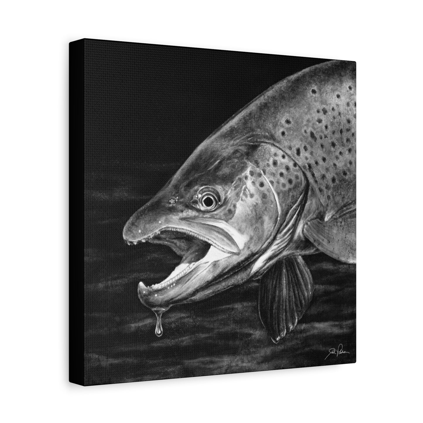 "Brown Trout" Stretched Canvas