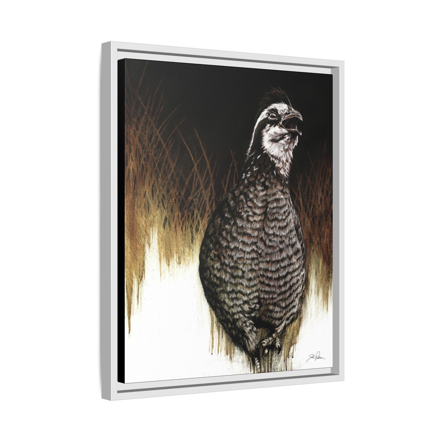 "Call of the Upland Quail" Framed Canvas