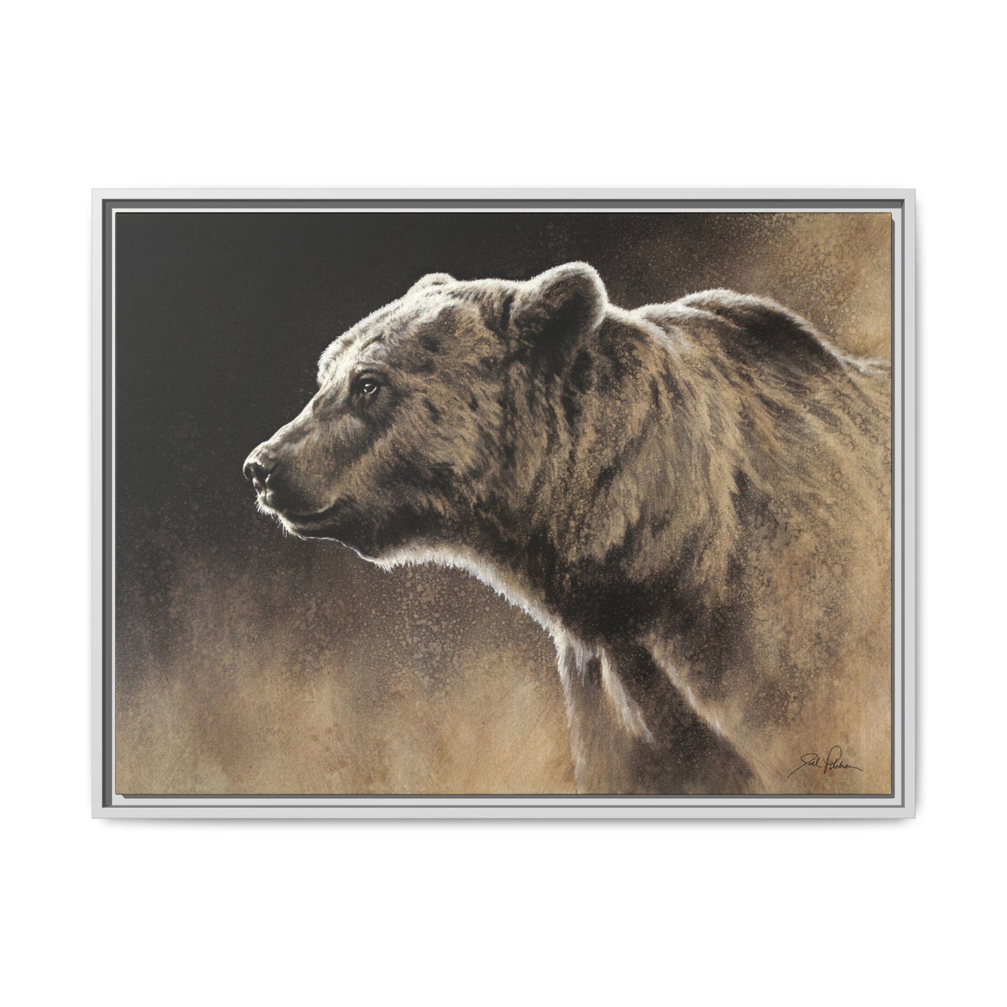"Grizzly" Framed Canvas