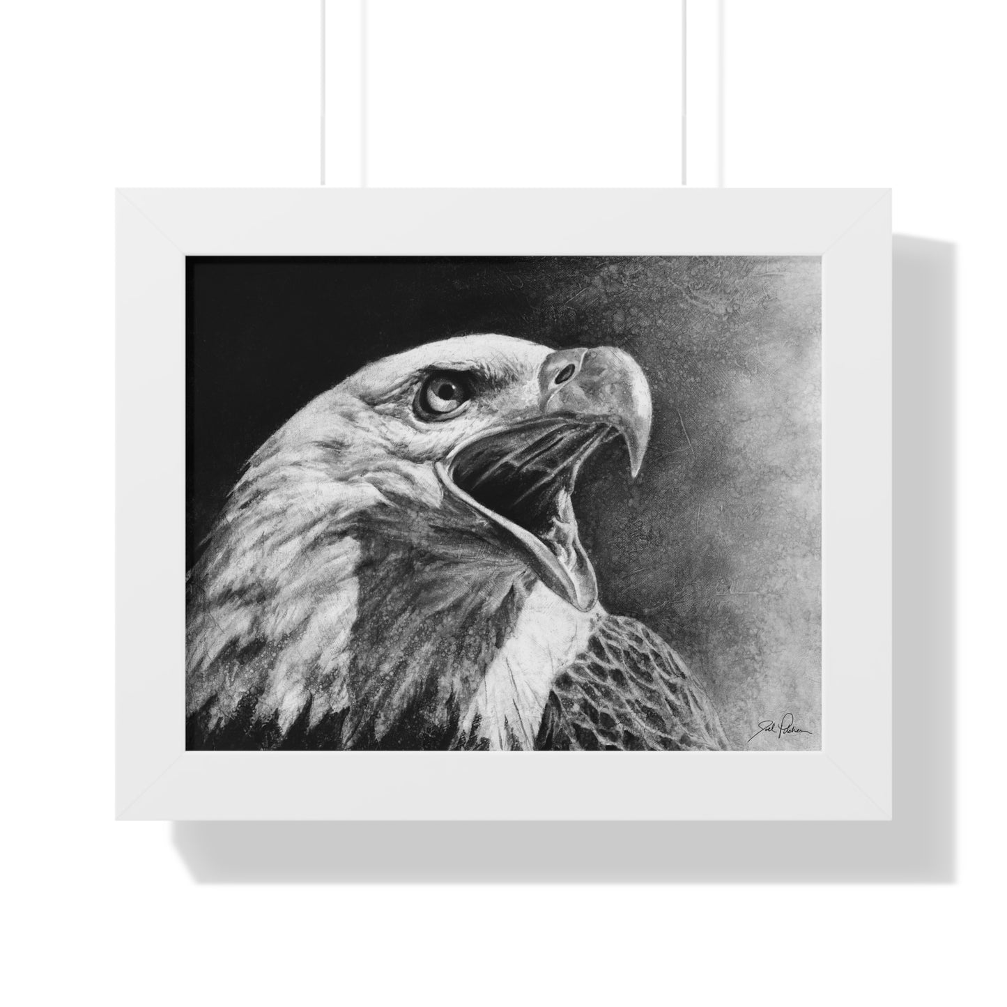 "Bald Eagle" Framed Paper Print