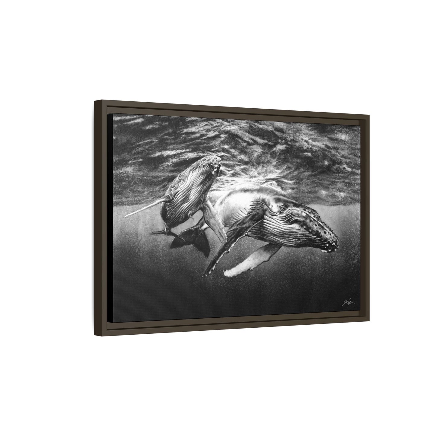 "Humpback Whales" Framed Canvas