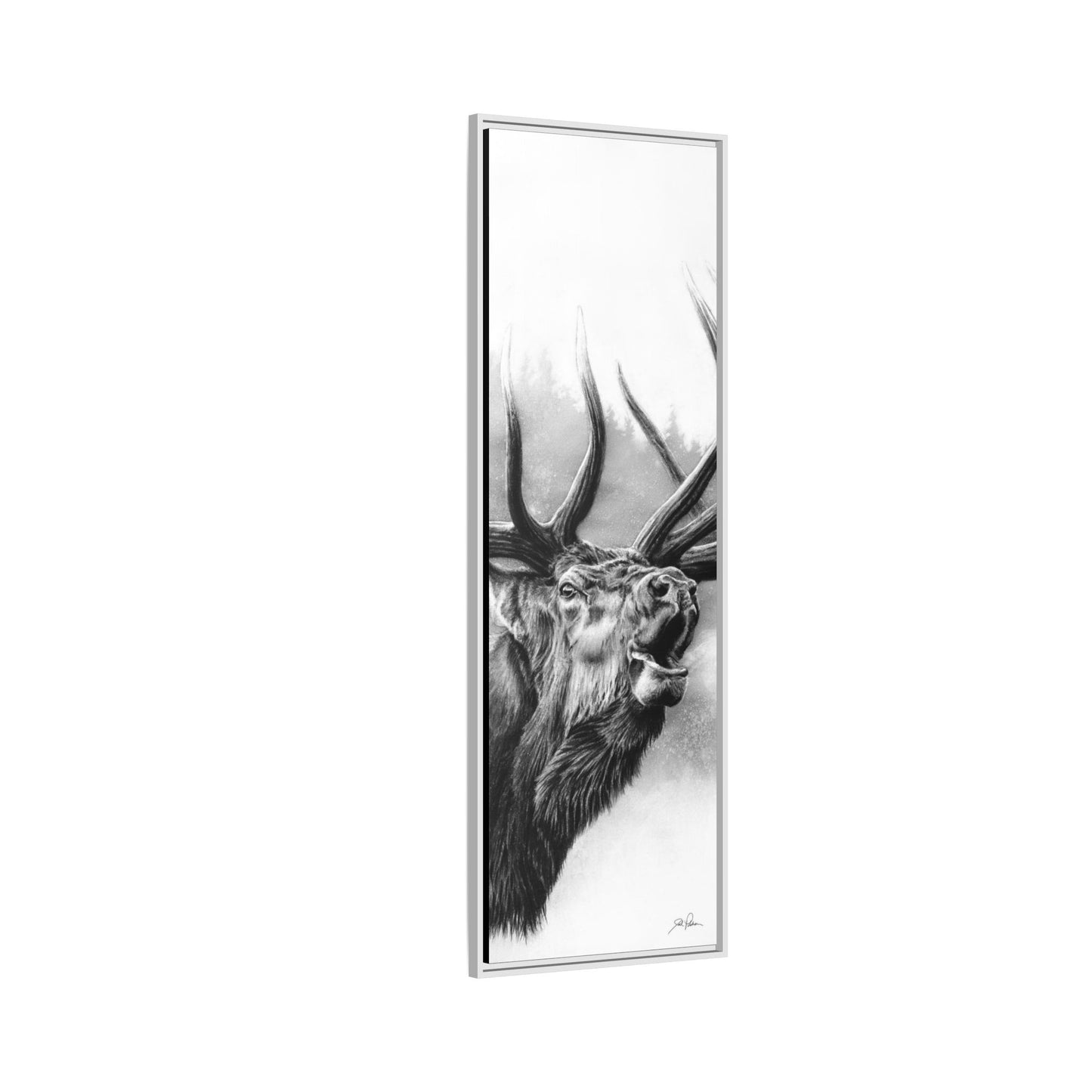 "Rocky Mountain King" Framed Canvas