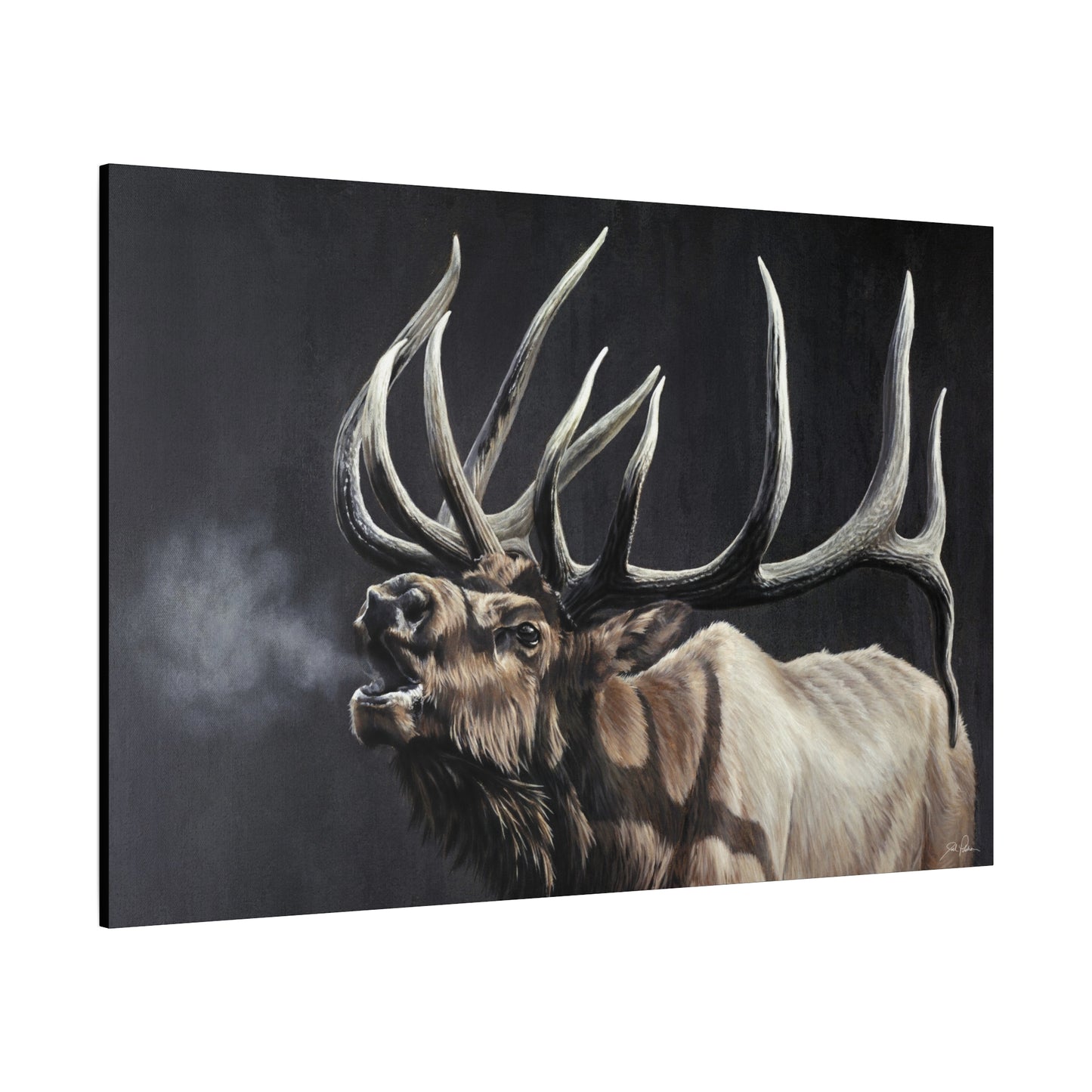 "Royal Persuasion" Stretched Canvas