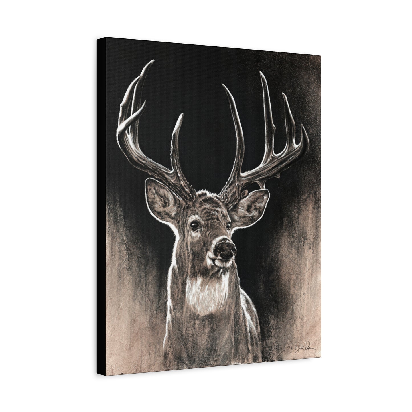 "Backlit Buck" Stretched Canvas