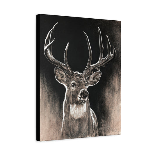 "Backlit Buck" Stretched Canvas