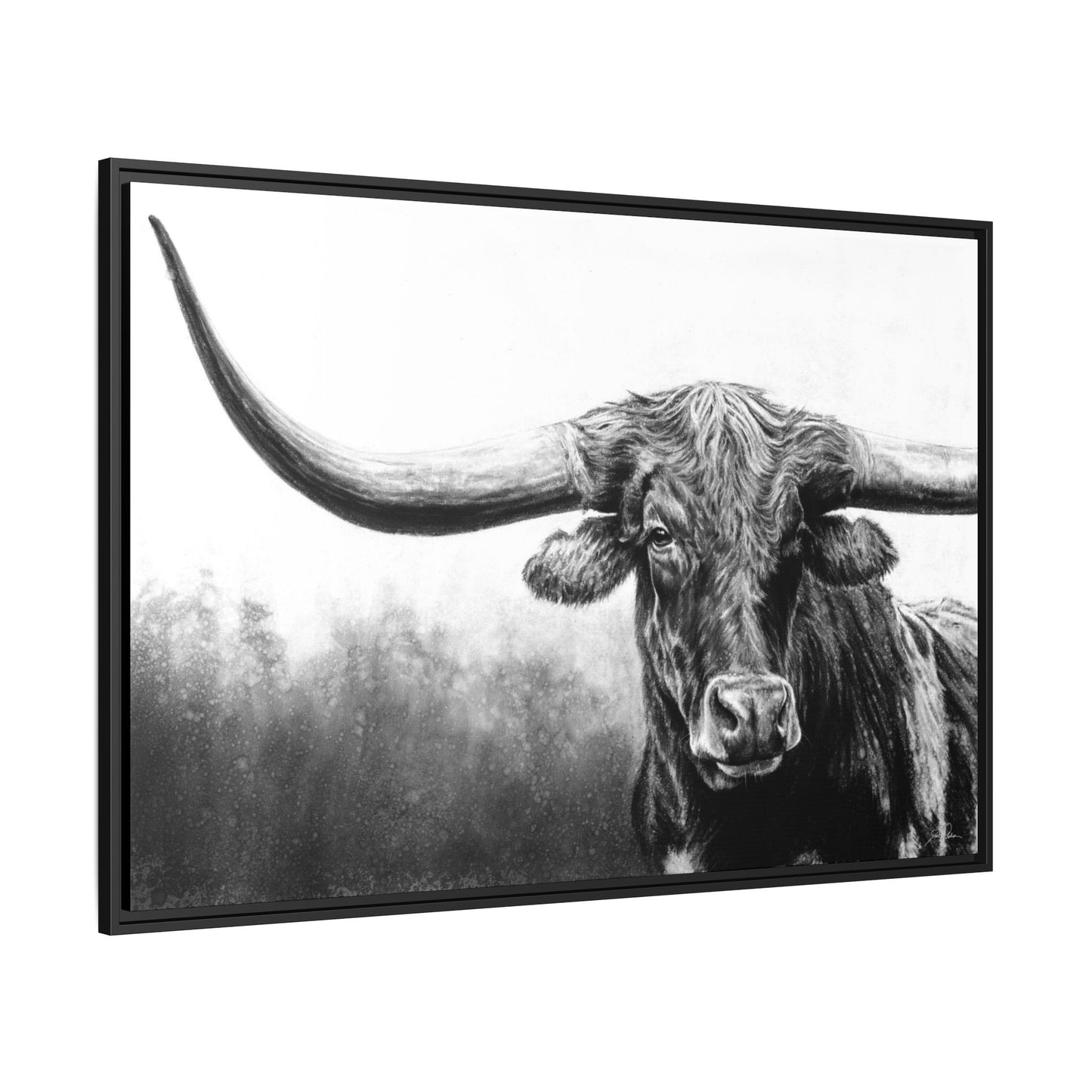 "Longhorn" Framed Canvas