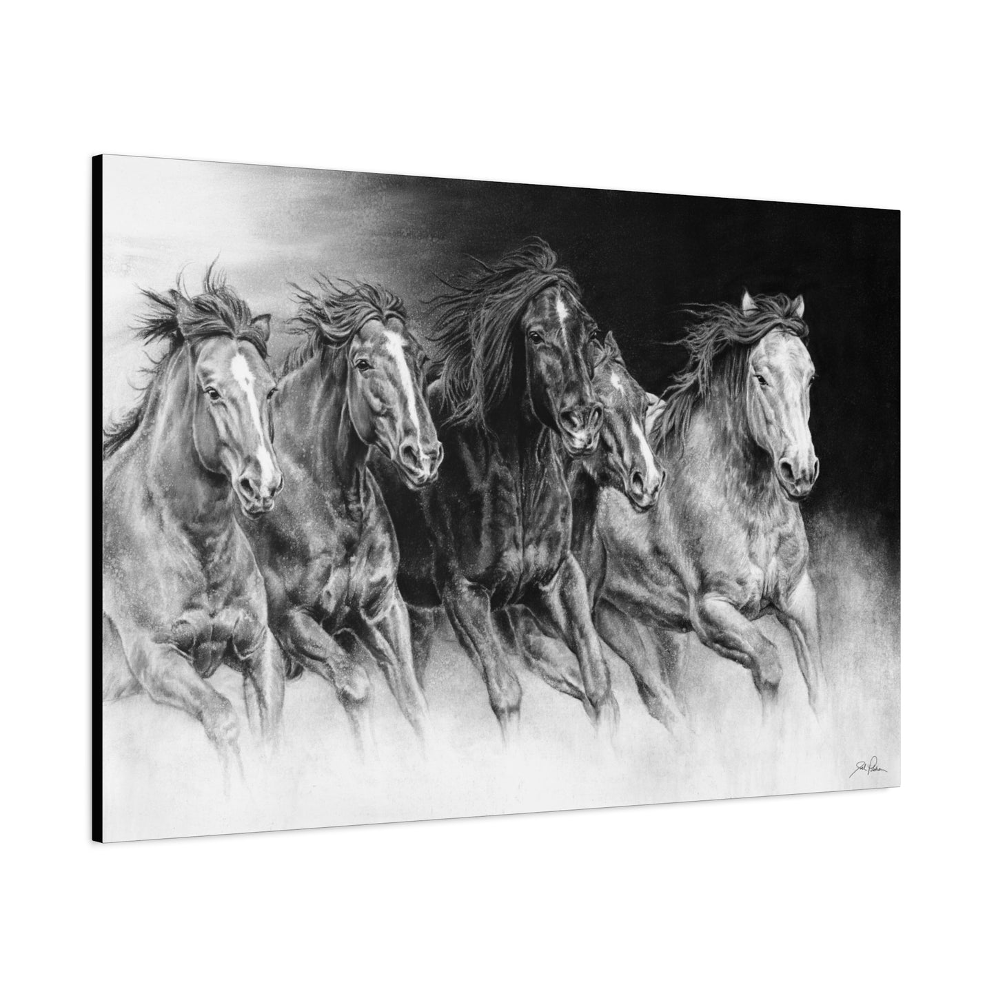 "Wild Bunch" Stretched Canvas