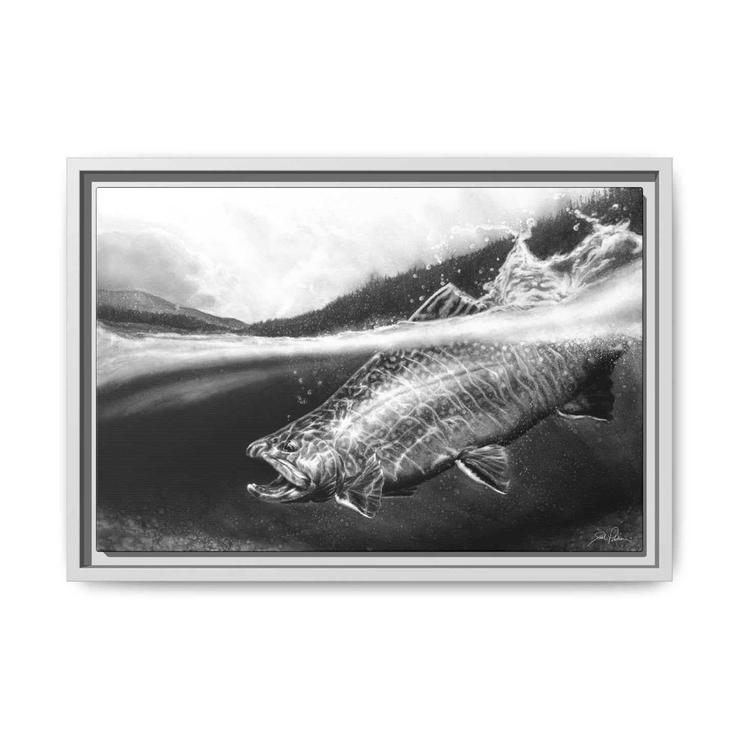 "Brook Trout" Framed Canvas