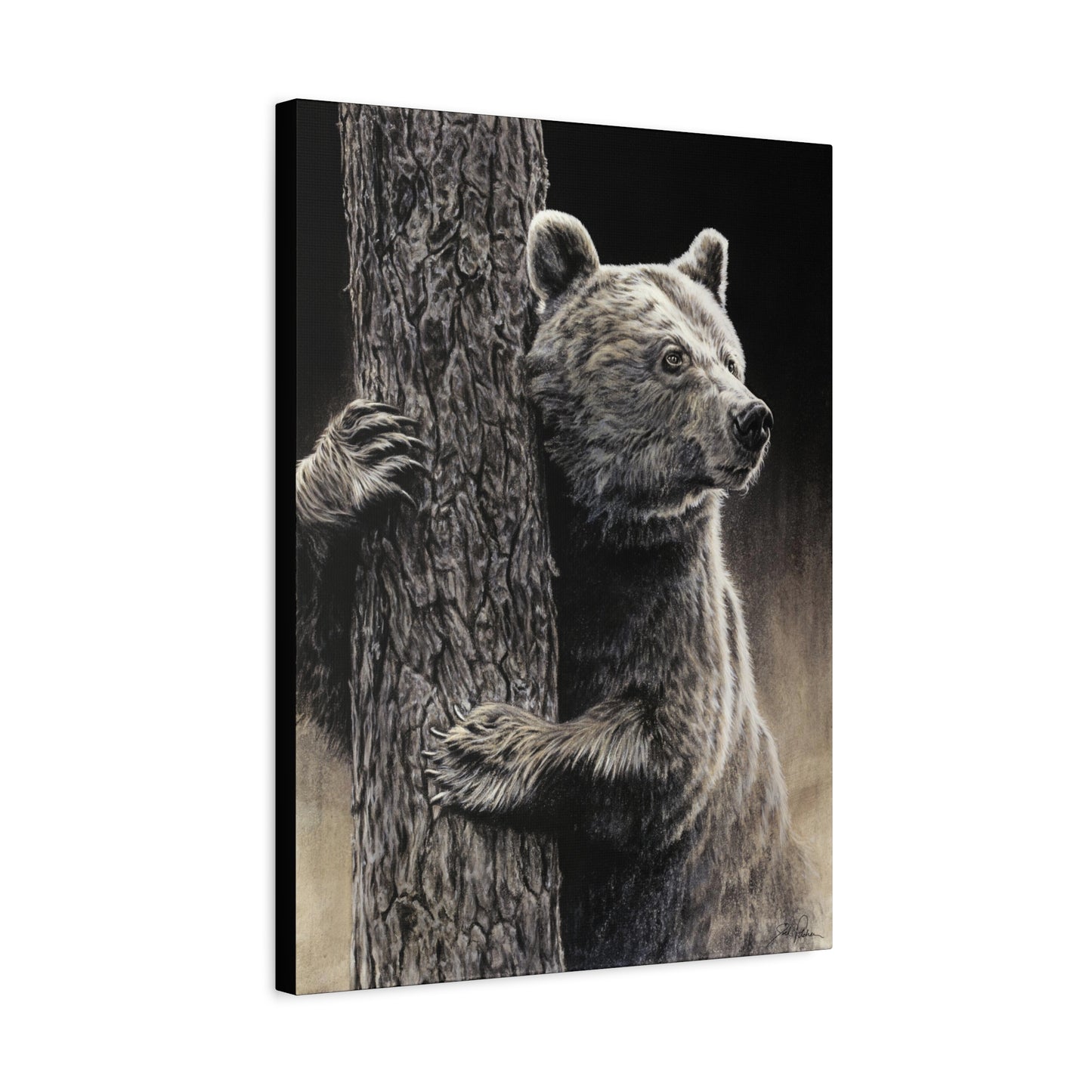 "Bear Hug" Stretched Canvas