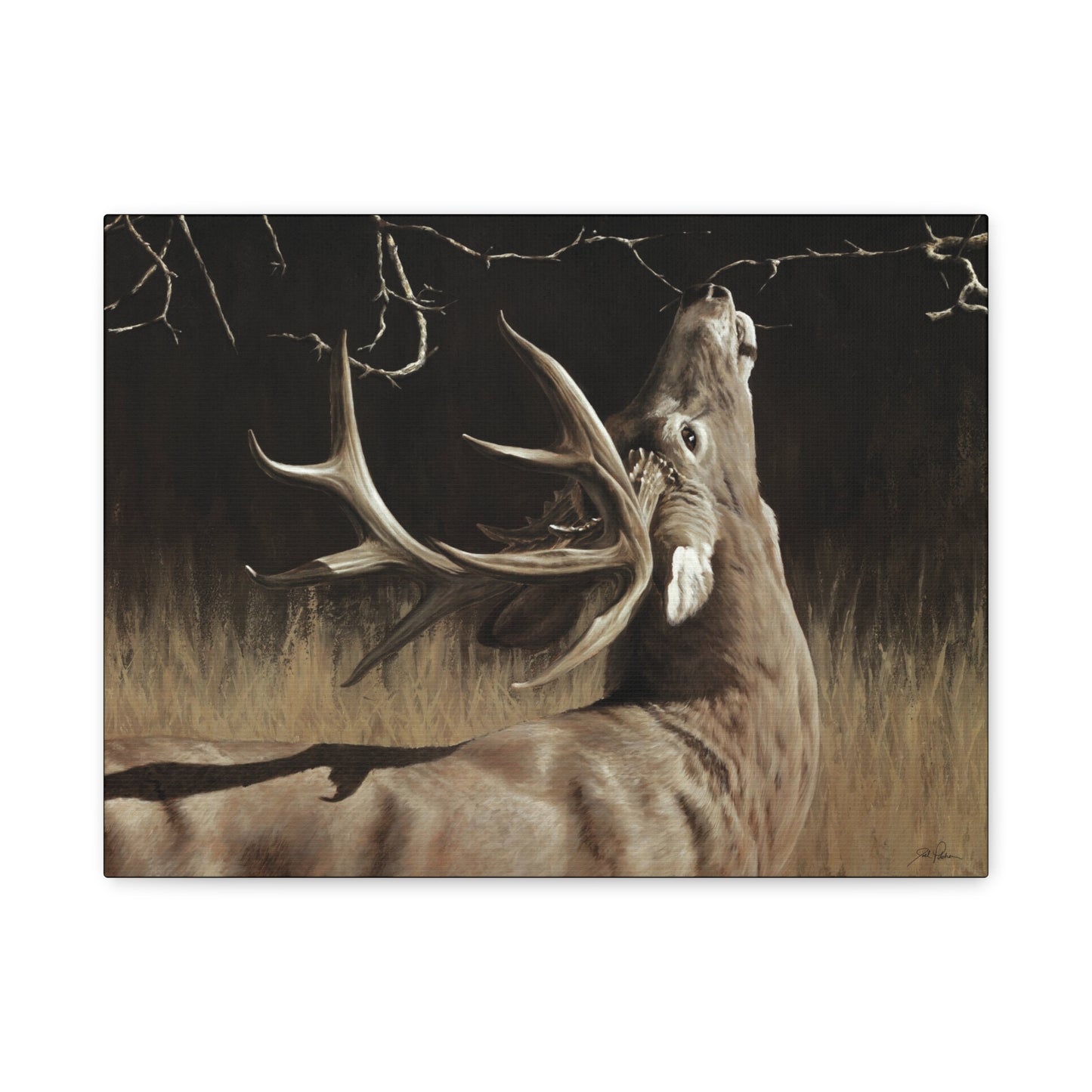 "Calling Card" Stretched Canvas