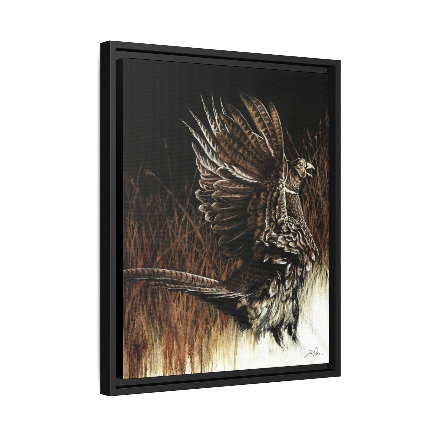 "Call of the Upland Pheasant" Framed Canvas