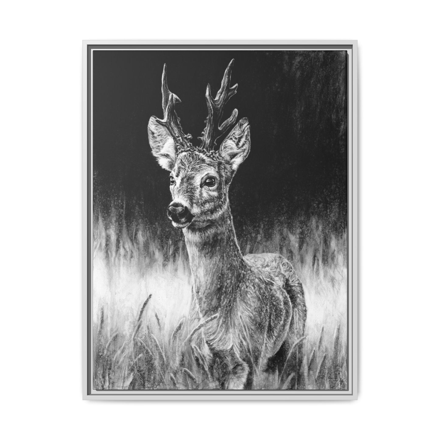 "Roe Deer" Framed Canvas