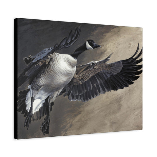 "Homeward Bound" Stretched Canvas