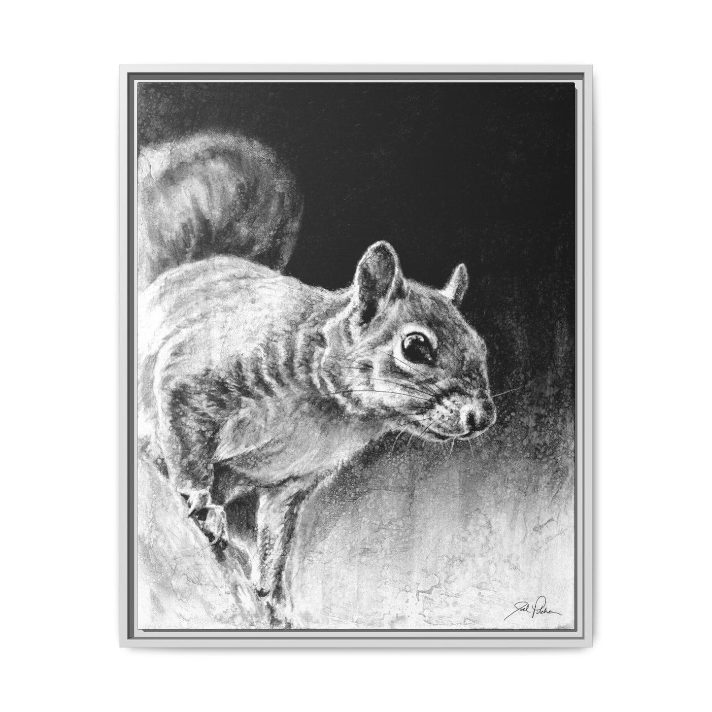 "Squirrel" Framed Canvas