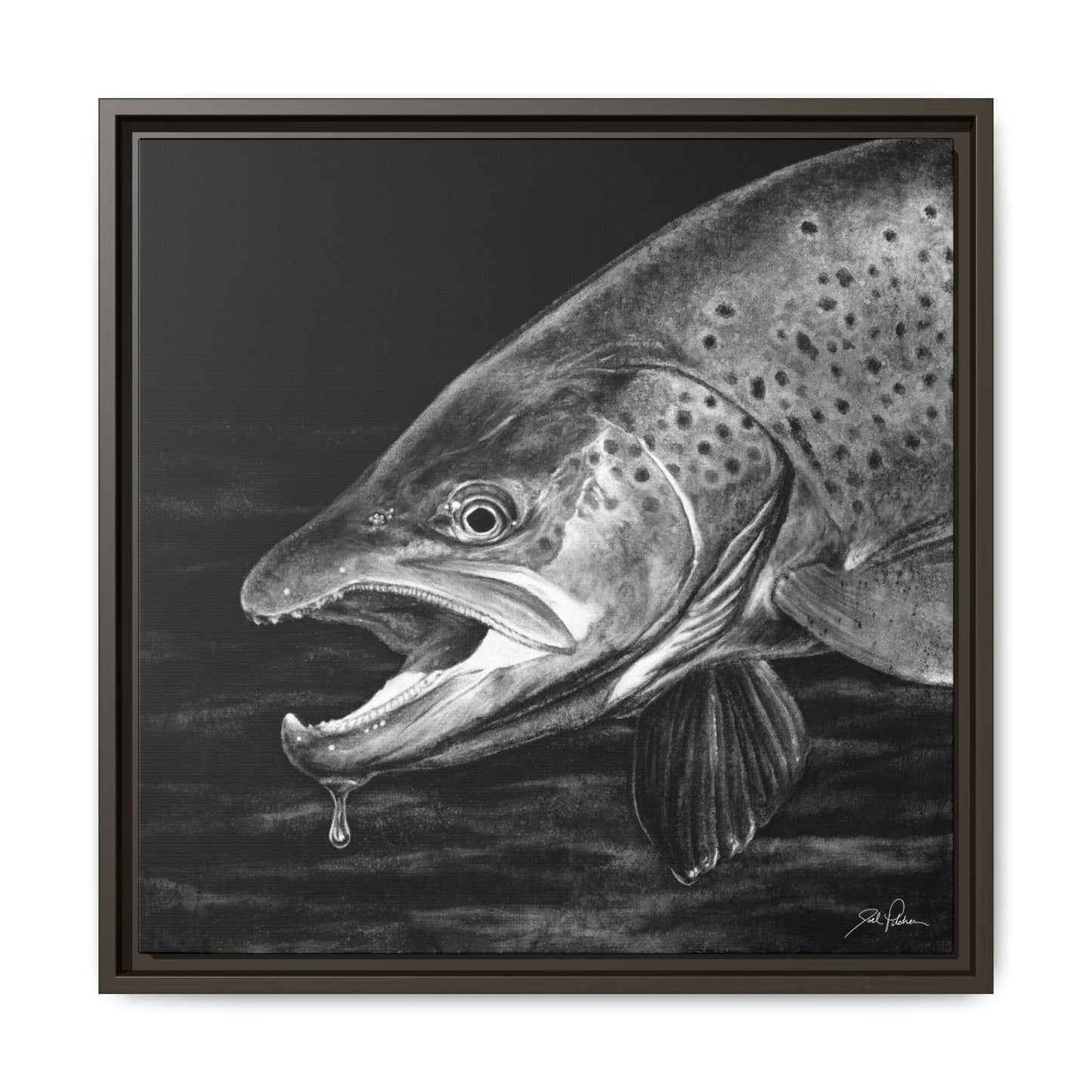 "Brown Trout" Framed Canvas