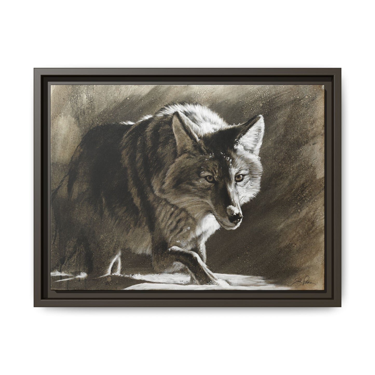 "Coyote" Framed Canvas