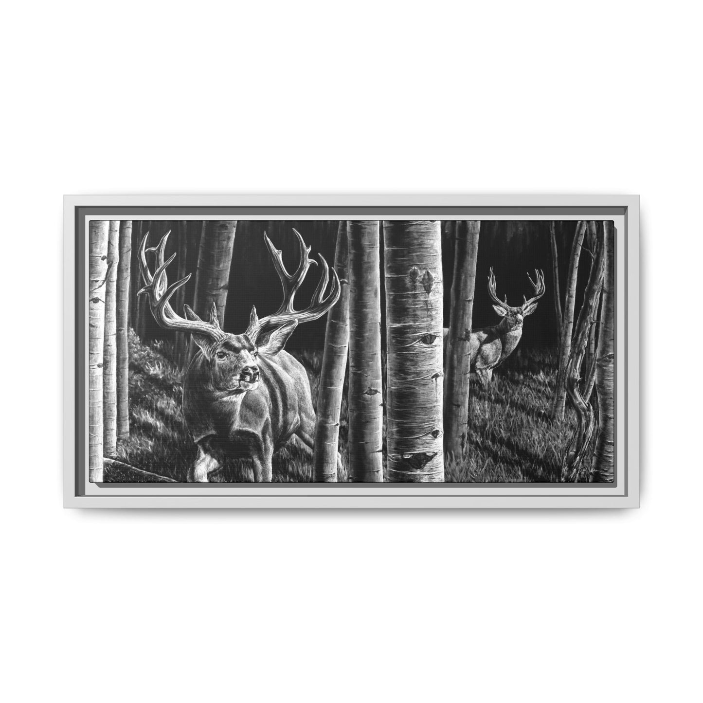 "Out of the Shadows" Framed Canvas