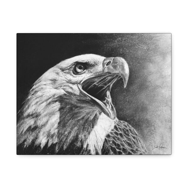 "Bald Eagle" Gallery Wrapped Canvas
