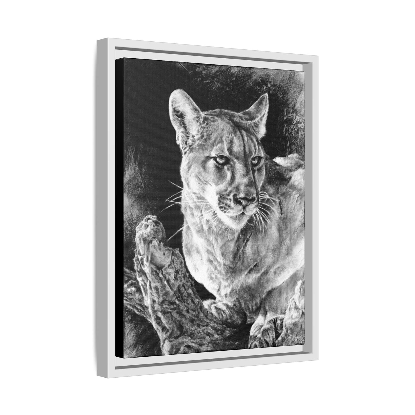 "Mountain Lion" Framed Canvas