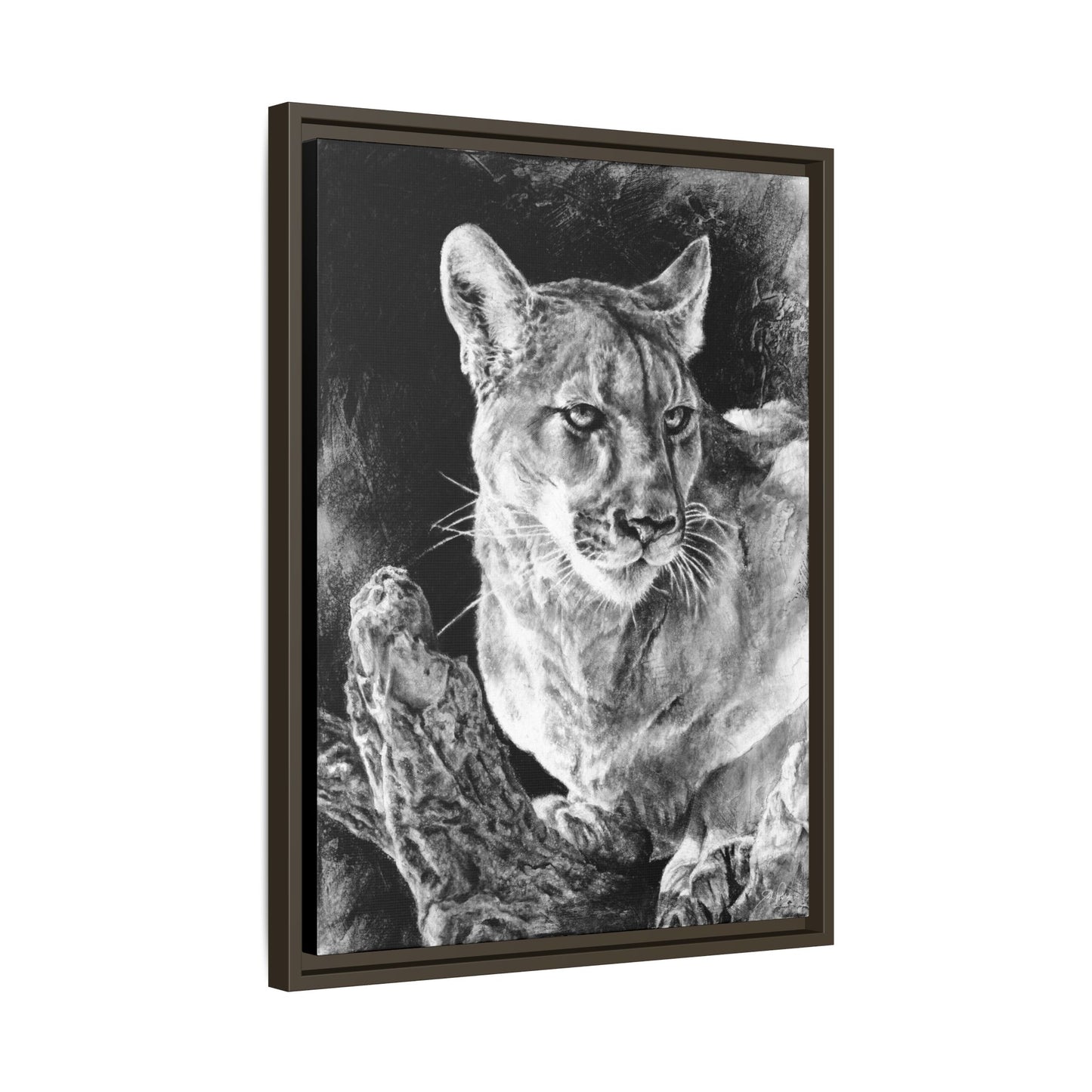 "Mountain Lion" Framed Canvas
