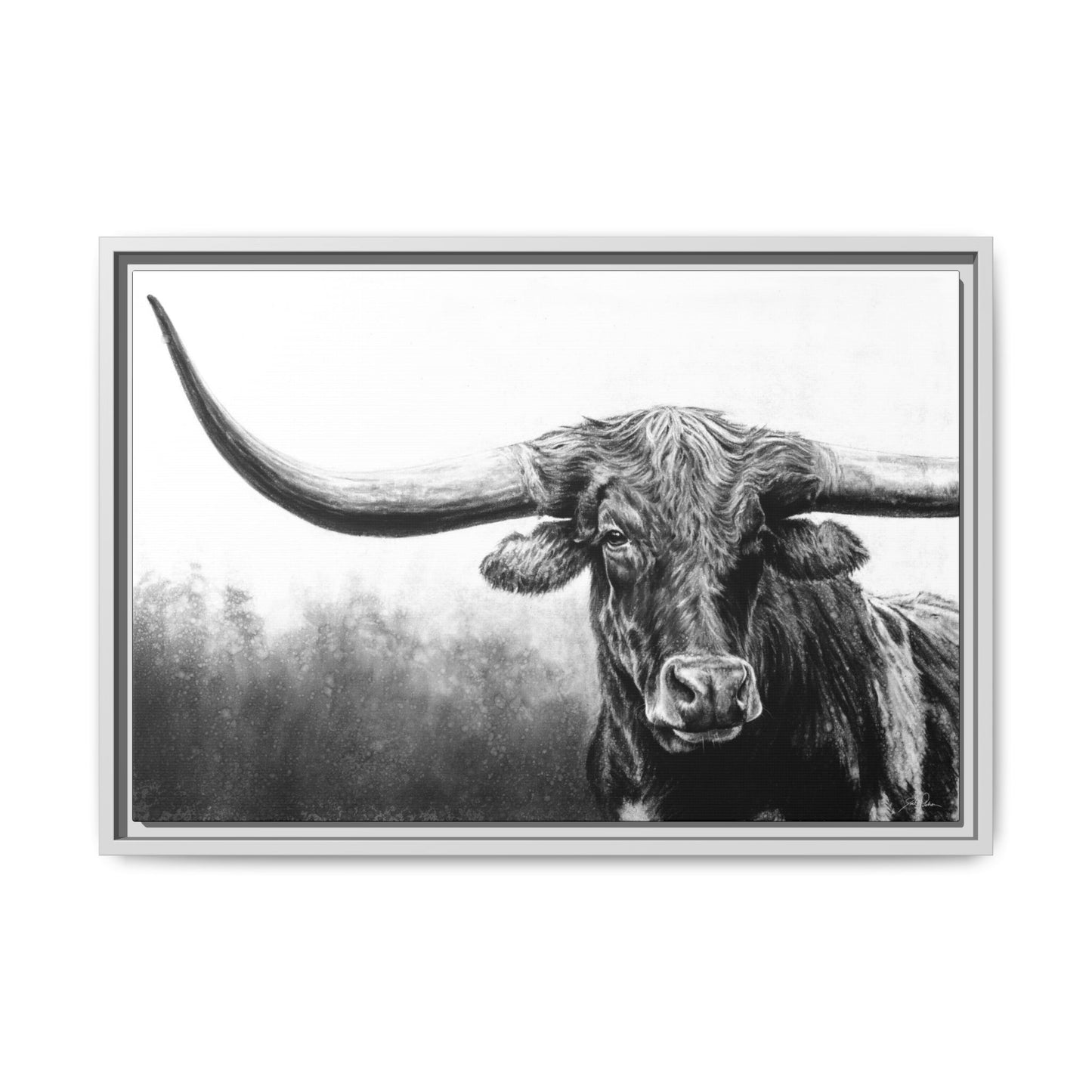 "Longhorn" Framed Canvas