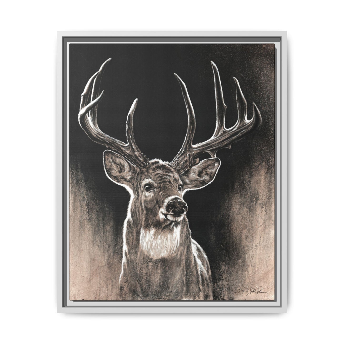 "Backlit Buck" Framed Canvas