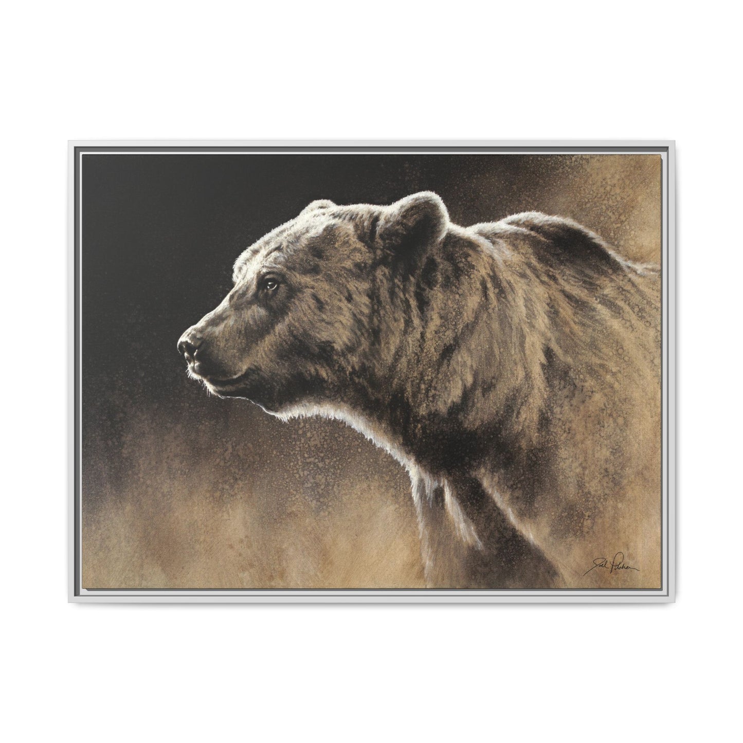 "Grizzly" Framed Canvas