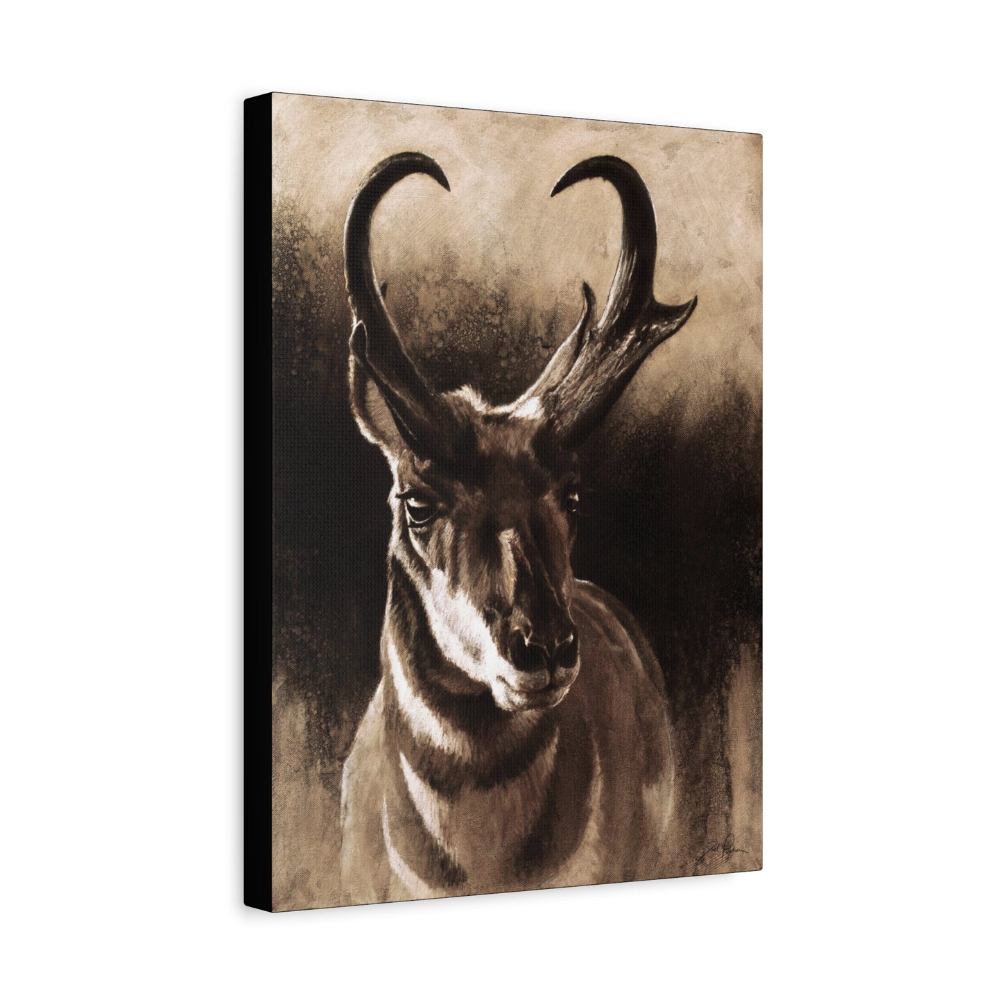 "Pronghorn" Stretched Canvas