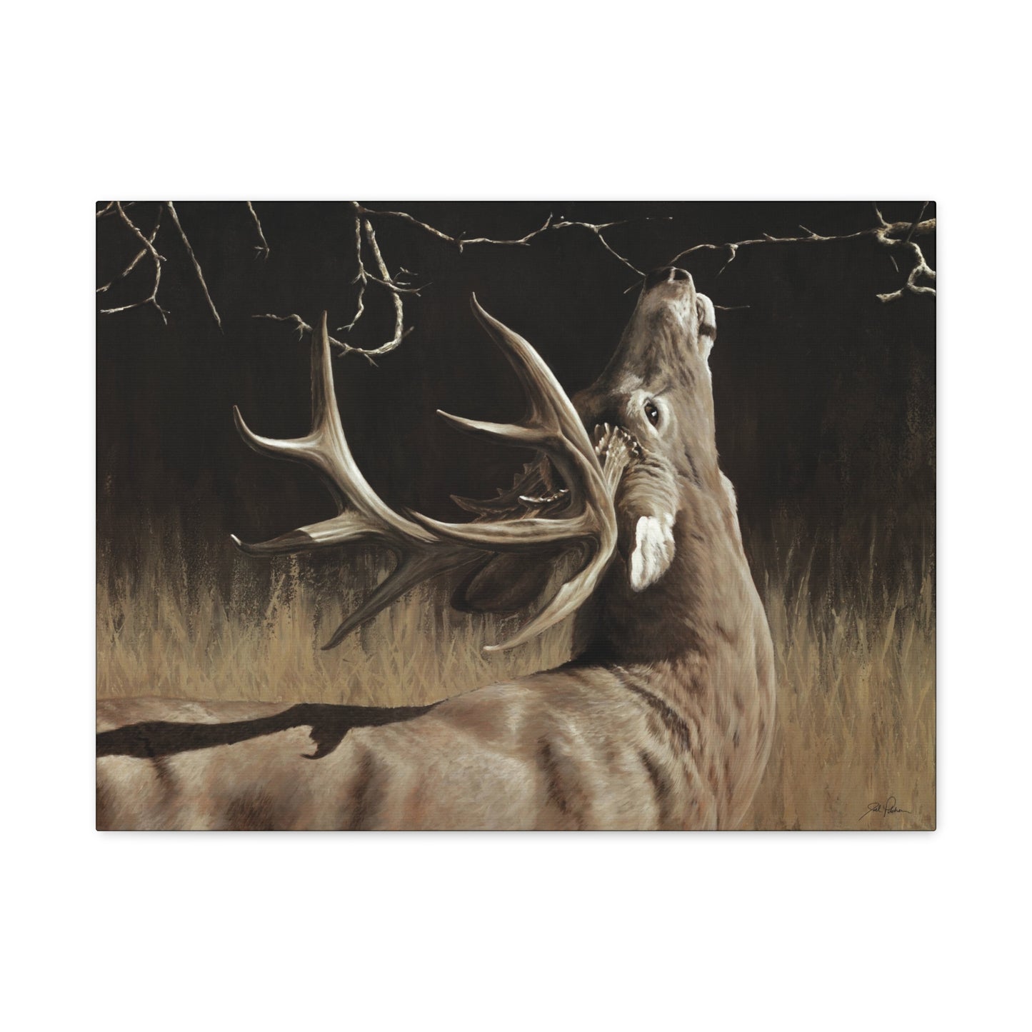 "Calling Card" Stretched Canvas