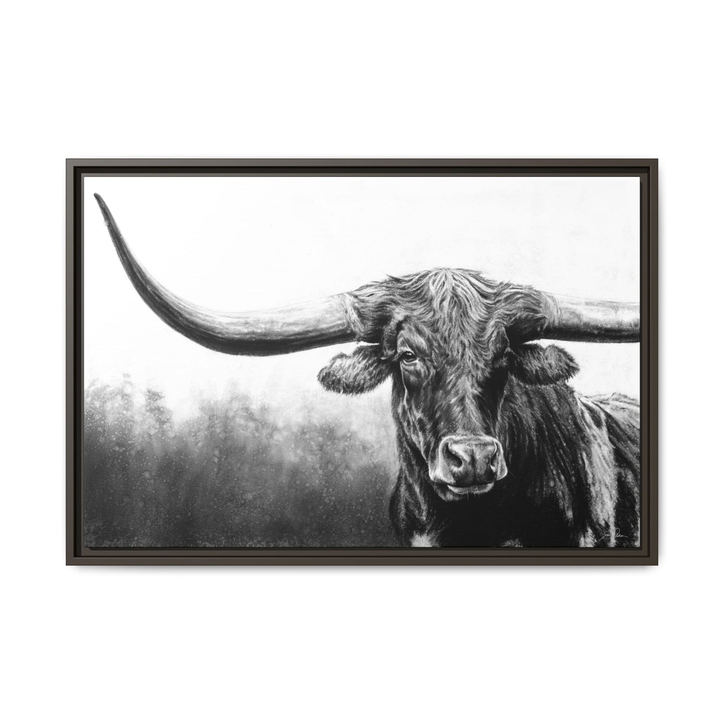 "Longhorn" Framed Canvas