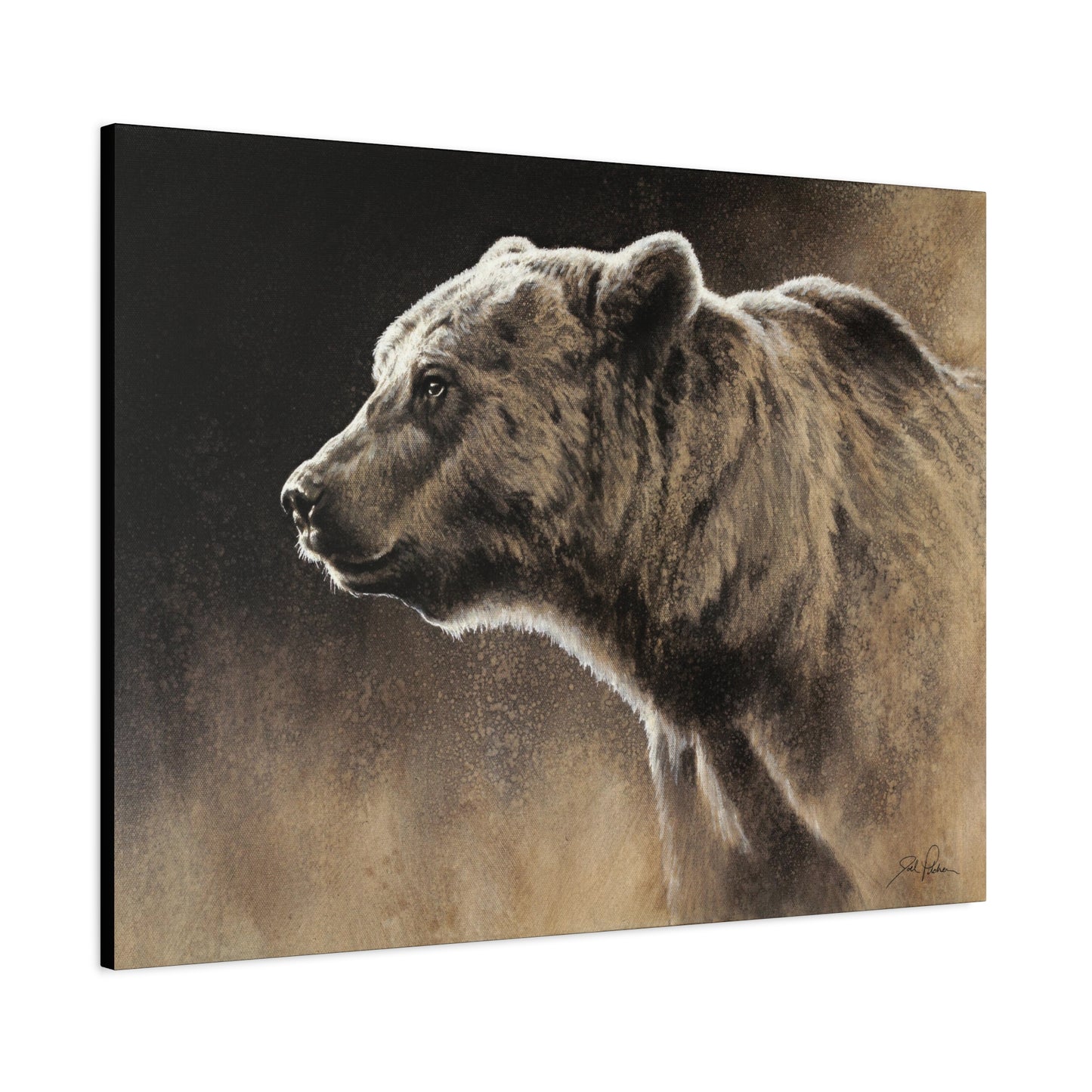 "Grizzly" Stretched Canvas