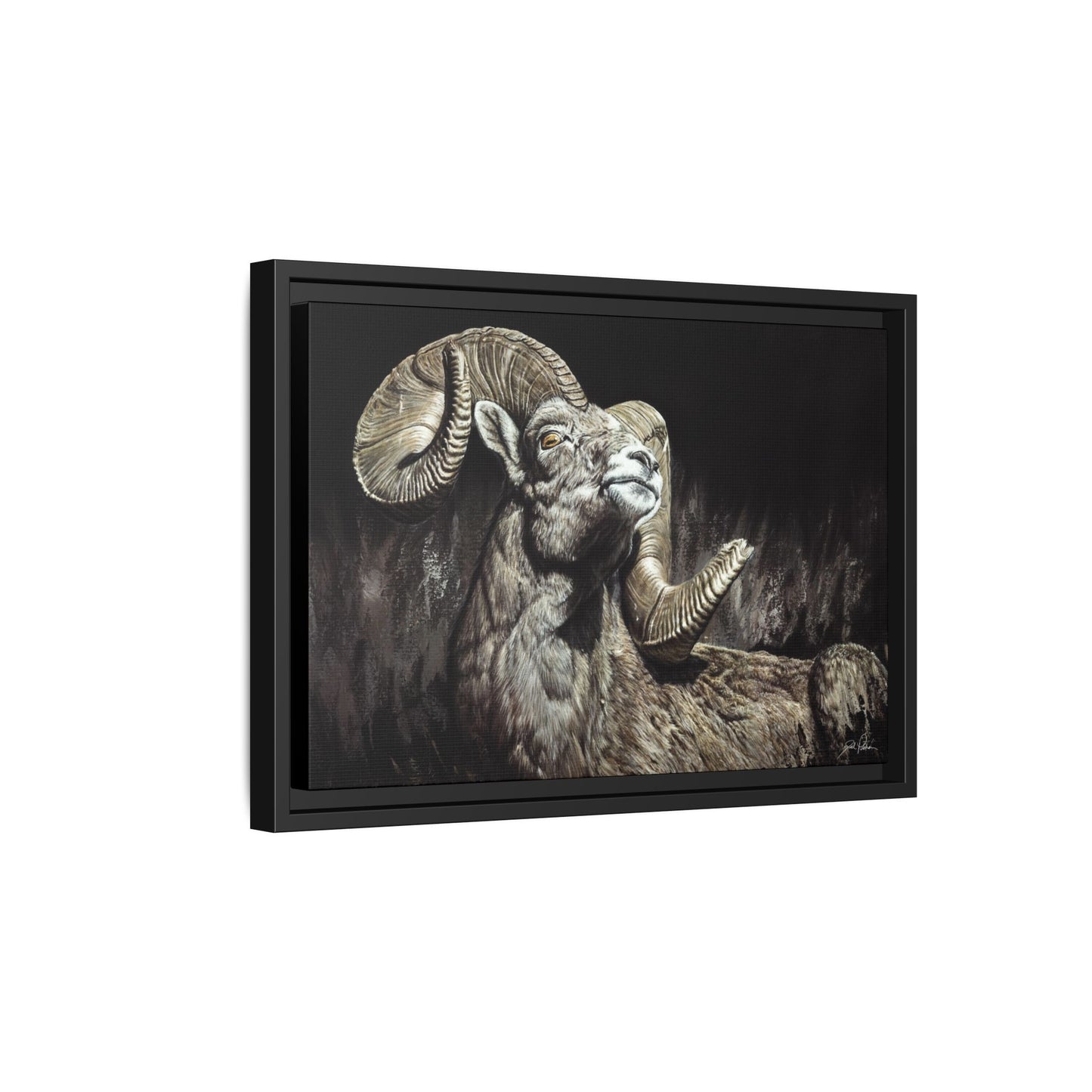 "Golden Eye" Framed Canvas